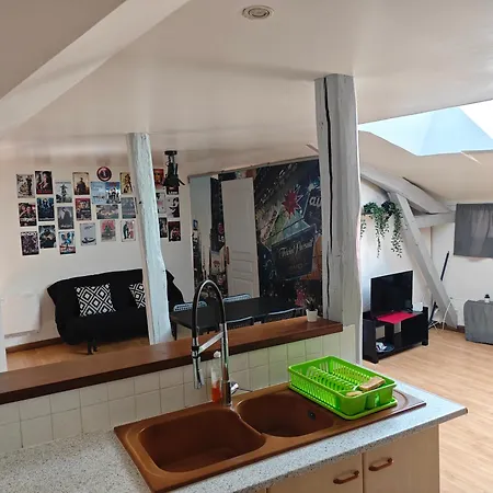 Cine Loft 55 M2 Centre Daire *