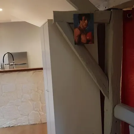 Ciné Loft 55 M2 Centre