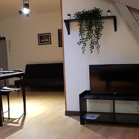 Ciné Loft 55 M2 Centre